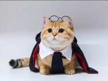 Load image into Gallery viewer, Cute Harry Potter Costume For Pet Dog / Cat-Pet Costume-Animee Cosplay