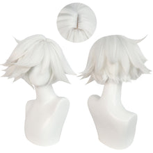 Load image into Gallery viewer, Hazbin Hotel - Angel Dust III-Cosplay Wig-Animee Cosplay