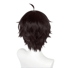 Load image into Gallery viewer, Honkai Star Rail - Dan Heng-Cosplay Wig-Animee Cosplay