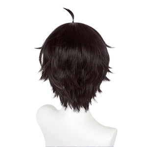 Honkai Star Rail - Dan Heng-Cosplay Wig-Animee Cosplay
