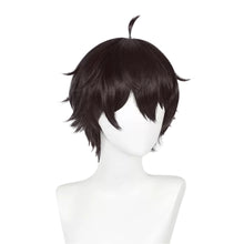 Load image into Gallery viewer, Honkai Star Rail - Dan Heng-Cosplay Wig-Animee Cosplay