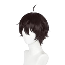 Load image into Gallery viewer, Honkai Star Rail - Dan Heng-Cosplay Wig-Animee Cosplay