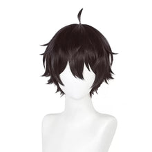 Load image into Gallery viewer, Honkai Star Rail - Dan Heng-Cosplay Wig-Animee Cosplay