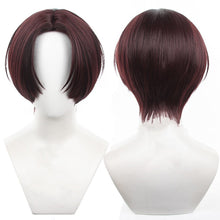 Load image into Gallery viewer, Wind Breaker - Hayato Suo-Cosplay Wig-Animee Cosplay