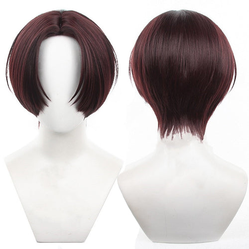 Wind Breaker - Hayato Suo-Cosplay Wig-Animee Cosplay