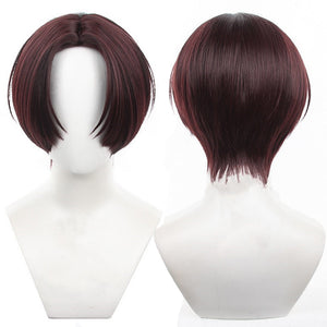 Wind Breaker - Hayato Suo-Cosplay Wig-Animee Cosplay