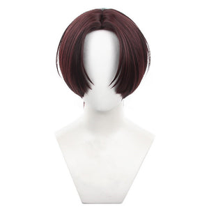 Wind Breaker - Hayato Suo-Cosplay Wig-Animee Cosplay