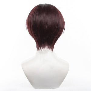 Wind Breaker - Hayato Suo-Cosplay Wig-Animee Cosplay