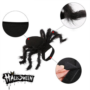 Funny Outfit Simulation Black Hairy Spider Pet Cosplay Costume-Pet Costume-Animee Cosplay