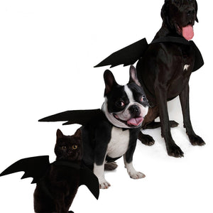 Bat Wing Halloween Clothes Pet Cosplay Costume-Pet Costume-Animee Cosplay