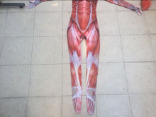 Load image into Gallery viewer, Attack on Titan Super Giant Jumpsuit-movie/tv/game jumpsuit-Animee Cosplay