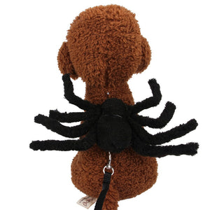 Halloween Spider Pet Costume with Harness Leash-Pet Costume-Animee Cosplay