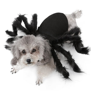 Funny Outfit Simulation Black Hairy Spider Pet Cosplay Costume-Pet Costume-Animee Cosplay