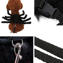 Load image into Gallery viewer, Halloween Spider Pet Costume with Harness Leash-Pet Costume-Animee Cosplay