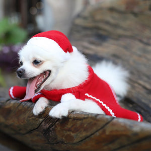 Winter Warm Hat Cloak Set Pet Cosplay Costume-Pet Costume-Animee Cosplay