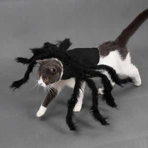 Funny Outfit Simulation Black Hairy Spider Pet Cosplay Costume-Pet Costume-Animee Cosplay