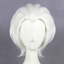 Load image into Gallery viewer, Fate stay night - Shirou Emiya Archer-cosplay wig-Animee Cosplay