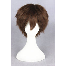 Load image into Gallery viewer, Super Master-cosplay wig-Animee Cosplay
