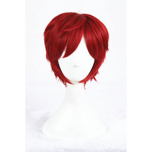 Zero kara Hajimeru Isekai Seikatsu: Reinhard van Astrea-Cosplay Wig-Animee Cosplay