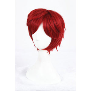 Zero kara Hajimeru Isekai Seikatsu: Reinhard van Astrea-Cosplay Wig-Animee Cosplay