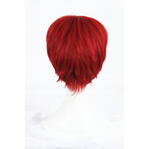Zero kara Hajimeru Isekai Seikatsu: Reinhard van Astrea-Cosplay Wig-Animee Cosplay