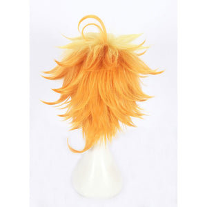 The Promised Neverland-Emma-Cosplay Wig-Animee Cosplay