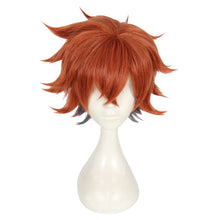 Load image into Gallery viewer, Disney Twisted Wonderland-Ace-cosplay wig-Animee Cosplay