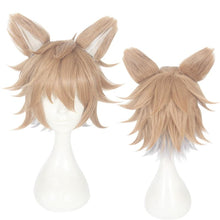 Load image into Gallery viewer, Disney Twisted Wonderland-Ruggie Bucchi-Cosplay Wig-Animee Cosplay