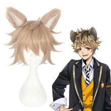 Load image into Gallery viewer, Disney Twisted Wonderland-Ruggie Bucchi-Cosplay Wig-Animee Cosplay