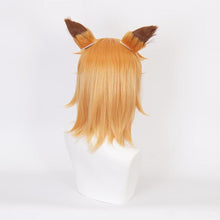 Load image into Gallery viewer, The Helpful Fox Senko San-Senko-cosplay wig-Animee Cosplay