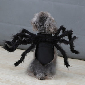 Funny Outfit Simulation Black Hairy Spider Pet Cosplay Costume-Pet Costume-Animee Cosplay