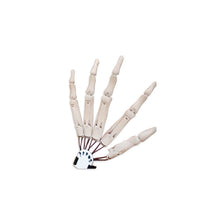 Load image into Gallery viewer, Halloween Articulated Long Fingers Glove-Cosplay Accessories-Animee Cosplay