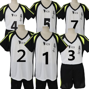 Haikyuu Cosplay Costume-anime costume-Animee Cosplay
