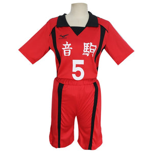Haikyuu Cosplay Costume-anime costume-Animee Cosplay