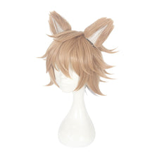Load image into Gallery viewer, Disney Twisted Wonderland-Ruggie Bucchi-Cosplay Wig-Animee Cosplay