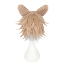 Load image into Gallery viewer, Disney Twisted Wonderland-Ruggie Bucchi-Cosplay Wig-Animee Cosplay