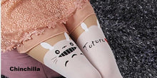 Load image into Gallery viewer, Hot Sheer Pantyhose Stockings-Socks-Animee Cosplay