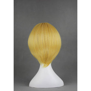 Katekyo Hitman Reborn: Belphegor-Cosplay Wig-Animee Cosplay