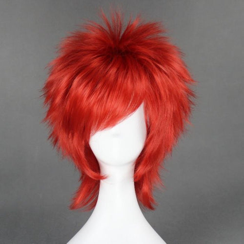 Katekyo Hitman Reborn - Kozato Enma-Cosplay Wig-Animee Cosplay