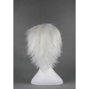 Hitman Reborn - Byakuran Gesso-cosplay wig-Animee Cosplay