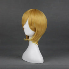 Load image into Gallery viewer, Blazblue: Rachel Alucard-cosplay wig-Animee Cosplay