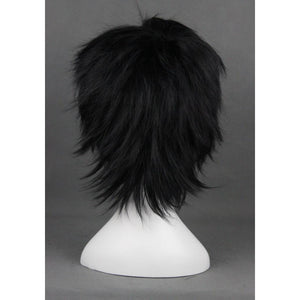 Fairy Tail - Gray Fullbuster-cosplay wig-Animee Cosplay